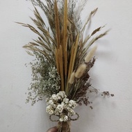 buket lagurus dried flower bunga kering(buket ilalang lagurus)