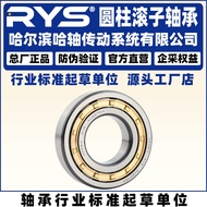 RYS Hashaft Drive NJ NUP NU N 2318 2319 2320 EM EM Cylindrical Roller