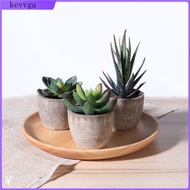 OUNONA 3pcs Decorative Faux Succulent Artificial Succulent Fake Simulation Plants with Pots Potted succulent plants