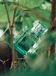 MFK Aqua Media Cologne Forte น้ำหอมชายกลาง น้ำหอมปรับอากาศสำหรับทุกสภาพผิว กลิ่นหอมยาวนาน เทรนด์ใหม่