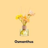 OHSOME - Findense Reed Diffuser Floral Scent Pewangi Ruangan Serbaguna Wangi Bunga