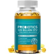 High Efficiency Intestinal Health: Promote Digestion, Enhance Immunity, Enhance Energy