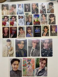 Seventeen dino小卡