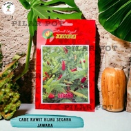 Benih Bibit Cabe Rawit Hijau Benih Unggul Jawara - CABE RAWIT SEGANA