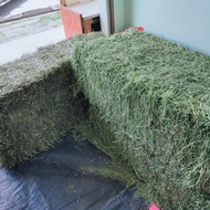 TIMOTHY  IMPORTED  HAY 1KG