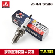Torch Spark Plug D8RTC Iridium D8RIU Haojue Motorcycle DH150 KA125Happy Crown150Accessories