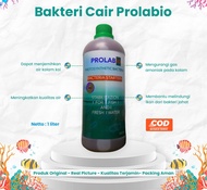 bakteri/bakteri starter/bakteri cair/bakteri aquascape/bakteri kolam koi/bakteri kolam/bakteri pengu