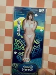 2026 TRE 台灣國際成人展 女優 河北彩花 亞加力立牌