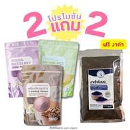 โปร 2 แถม 2! จมูกข้าวไรซ์เบอร์รี่ + ข้าวกล้อง กข43 + จมูกข้าว 4 สายพันธุ์ แถมฟรี งาดำคั่วบด ออร์แกนิ