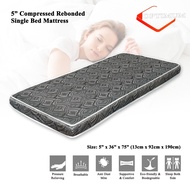 Royal Brand Single Compressed Rebond Mattress (Thickness 5 inches) Single Mattress / Tilam Bujang (t