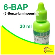 6-BAP 30 ml hormon BAP hijau Benzylaminopurine tunas biru anggrek tumbuhan BA pupuk tetes