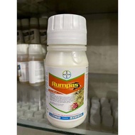 Herbisida Ricestar 250 ml Herbisida Padi