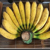 pisang raja manis 1 sisir