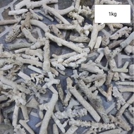 Ginger Coral, Coral Stone, Repack 1kg