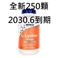 250 lysine For Cats 500mg now foods l-lysine lysine for cat cat vitamin