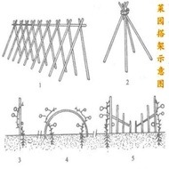 Climbing Bamboo Pole Bean Pole Bamboo Cucumber Stand Bamboo Pole Tomato Vegetable Stand Colorful Fla