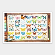Pintoo Jigsaw Puzzle Beautiful Butterflies 1000 H2027