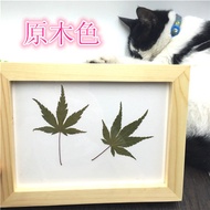 Solid Wood Photo Frame Pressed Flower Photo Frame diy Pressed Flower Picture Frame Wooden Photo Fram