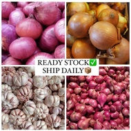 Bawang Merah India / Bawang Rose / Bawang Siam / Bawang Putih / Bawang Holland