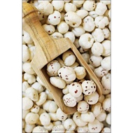 Phool Makhana / Fox Nut / Lotus Seed | Food | INDIAN GROCER