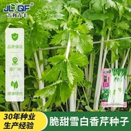 [Local Growing] Snow White Celery White Celery Seeds Seeds Vegetables Vegetables Winter Autumn South