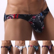 Briefs Mens Panties Thong Underpants Underwear Mesh Moisture Wicking Print