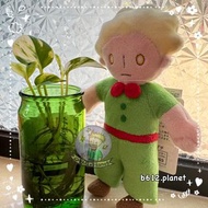 📌日本🇯🇵星の王子 小王子 the little prince le petit prince 公仔