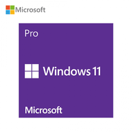 微軟Windows 11 Pro 專業中文隨機版 64位元