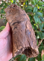 加里曼丹 野生沉香老料 695公克 沉香擺件 【沉水級】 星洲系沉水