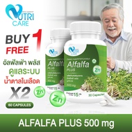 🚚ส่งฟรี🔥(1แถม1)Nutri Care Alfalfa Plus 30แคปซูล อาหารเสริมบำรุงร่างกายลดระดับคอเลสเตอรอล | ช่วยเสริม