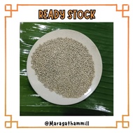 GREEN MILLET / KAMBU HIJAU