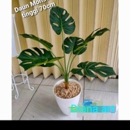 Terlaris! Daun Monstera#Monstera Latex#Monstera Plastik#Pohon Monstera