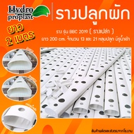 รางปลูกผักไฮโดรโปนิกส์ รุ่นรางปิด BBC 2019 ยาว 2 เมตร 13 - 21 หลุมปลูก ( ไม่ปิดฝา )