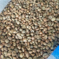 biji kopi mentah/green bean robusta temanggung grade 1 - 50kg.