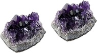 Ciieeo 2pcs Amethyst Cluster Druzy Gemstone Specimen Natural Stones Fittings Mineral Specimen Mineral Sample Chakra Stones Natural Stones Cluster Geode Chips Crystal Quartz Purple