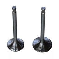 Ready Stock  ✴Cummins Exhaust Valve 6BT✪