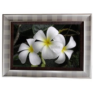 Frangipani Photo Frame Silver Oak External Size 17x23 Inches (12x18 Inches) Light-Blocking Glass
