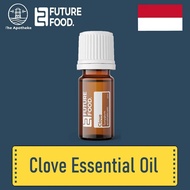 Pure Clove Essential Oil [Import from Indonesia]