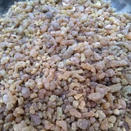 ] Luban ASLI ARAB - Luban Dakar Mustaqi Luban Dupa Bukhur Kemenyan