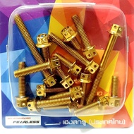 HENG Crankcase Bolt Set (17pcs) - Gold and White for Yamaha Mio Sporty, Soulty, Amore