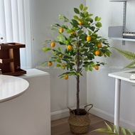 [พร้อมส่ง] Jnihouse : ต้นเลมอนประดิษฐ์ แถมตะกร้าสาน (Artificial Lemon Tree)