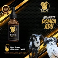 NUTRI SHEEP - Obat Doping Domba Adu Domba Garut Adu Domba Stamina Tahan Sakit Nafsu Membara & Cocok