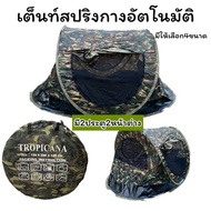 Sring Tent Throwing Automatic 2 Doors 2 Windows Easy To Open Fold
