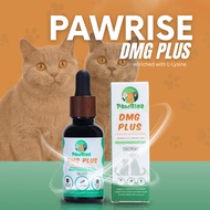 Pawrise DMG Plus enriched with L-Lysine Immune Booster for Cat and Dog