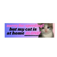 Sorry For Speeding But My Cat Is At Home Alone Funny Cat Sticker Laptop Sticker External Accessories