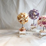 永生繡球花樹 | 紀念日 情人節禮物 生日禮物