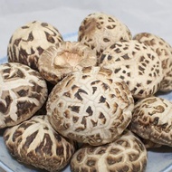 特级湖北白花菇 200克 Premium Hubei Dried White Flower Mushroom 200g