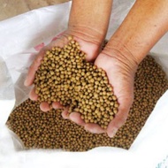20kg dedak ikan food fish | seguni | fish feeder