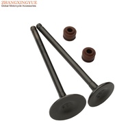 Scooter Intake And Exhaust Valves For SYM Fiddle 3 Jet 14 Symphony ST SR 125cc 200cc E4 14711-F8A-00
