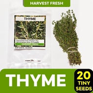 Herbs &amp; Vegetable Seeds Basil Sage Rosemary Thyme Oregano Arugula Parsley Coriander Celery Kinchay园艺